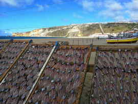 dry fish in Nazare