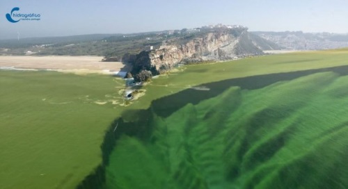 Nazaré North Canyon sea