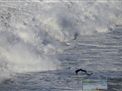 nazare-waves-surf-29-11-2015-011