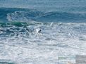 nazare-waves-surf-j-06-12-2015-004