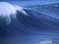 nazare-waves-surf-21-12-2015-016