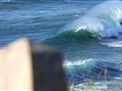 nazare-waves-surf-21-12-2015-039