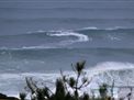nazare-waves-surf-12-31-2015-001