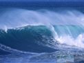 nazare-waves-surf-01-28-2016--016