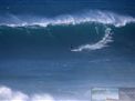 nazare-waves-surf-01-28-2016--018