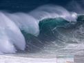 nazare-waves-surf-01-30-2016--013