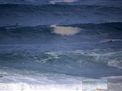 nazare-waves-surf-10-13-2016--004